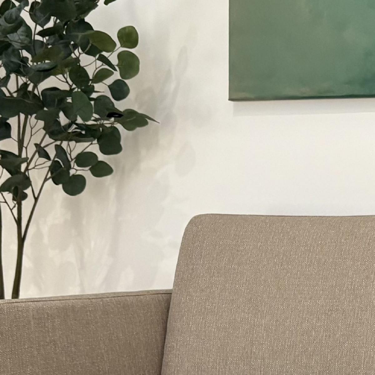 Praxissofa mit Bild und Pflanze